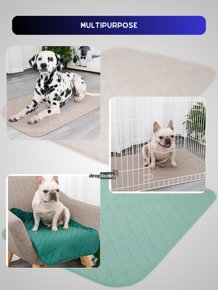 Bamboo Fiber Waterproof Pet Training Mat With Absorbing Technology | Moisture Proof